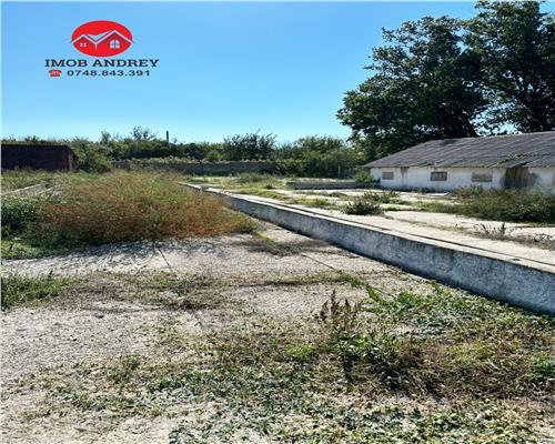 Teren 5023 mp cu hale si grajduri – Zona Mineri, ideal industrial