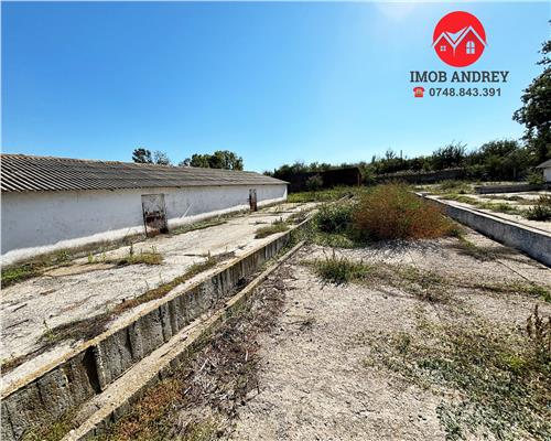 Teren 5023 mp cu hale si grajduri – Zona Mineri, ideal industrial