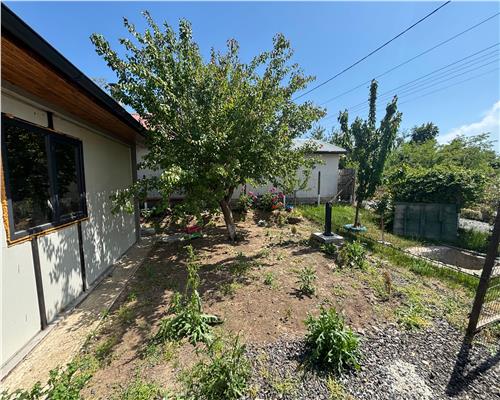 Casa în Somova, perfecta pentru trai linistit aproape de Tulcea