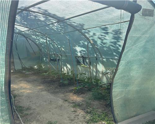 Casa P+M 125 mp, 500 mp teren, mobilata si utilata, Mineri lânga Tulcea