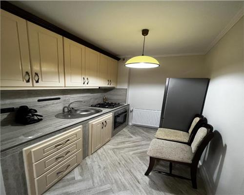 Vila eleganta de închiriat, ultracentrala, complet renovata si utilata