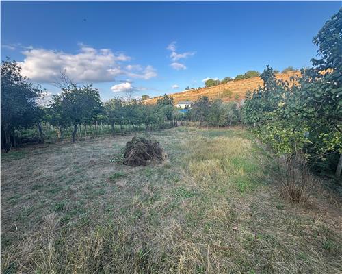 Casa 4 camere, teren 1081 mp, Niculitel, acces asfaltat