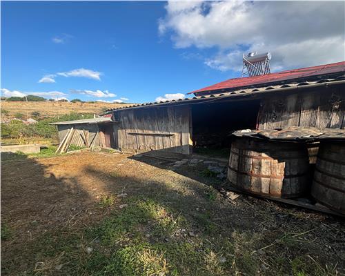 Casa 4 camere, teren 1081 mp, Niculitel, acces asfaltat