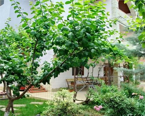 Pensiune tip vila, zona Pelican Tulcea, complet utilata si moderna