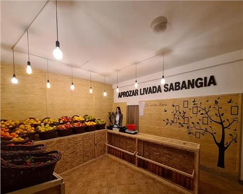 Spatiu comercial de vanzare zona mahmudiei stradal 40mp