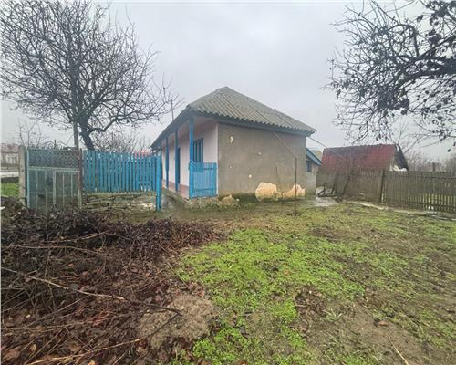 Casa de vacanta cu teren generos – Plopul, judetul Tulcea