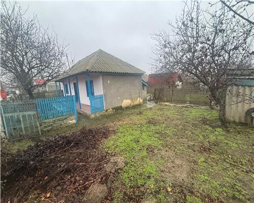 Casa de vacanta cu teren generos – Plopul, judetul Tulcea