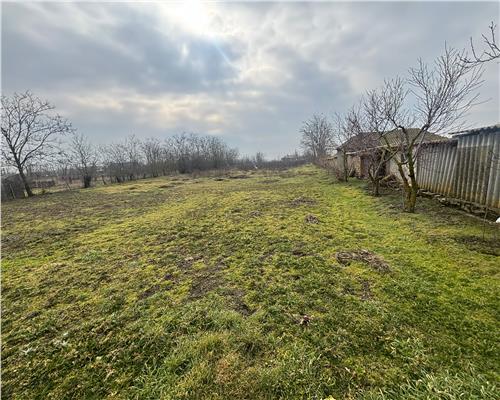 Casa de vânzare în Plopul, Tulcea – aproape de Delta Dunarii