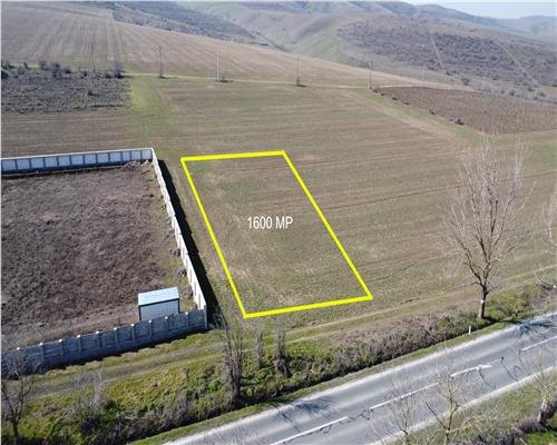 Teren intravilan 1600 mp Mineri, deschidere E87, ideal investitie