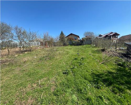 Teren Mineri 600 mp cu vedere directa la balta, utilitati, acces asfalt