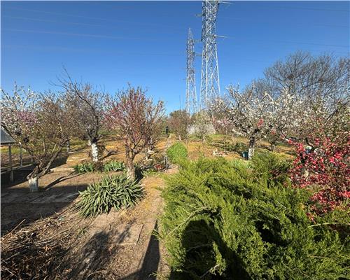 Afacere la cheie, Pensiune Tulcea 9 Mai cu deschidere la balta