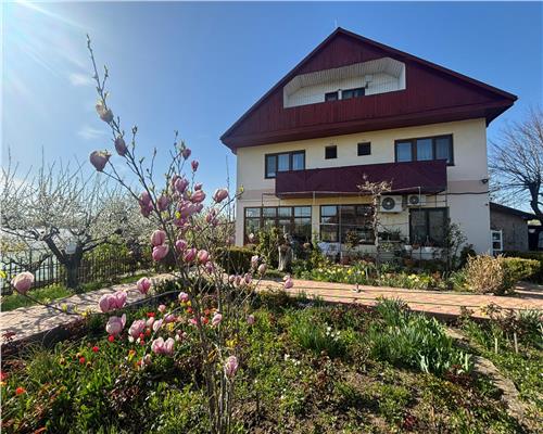 Afacere la cheie, Pensiune Tulcea 9 Mai cu deschidere la balta