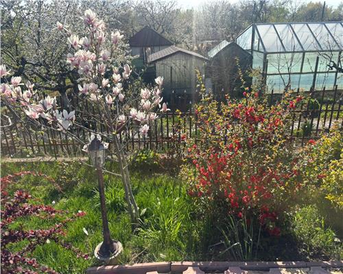 Afacere la cheie, Pensiune Tulcea 9 Mai cu deschidere la balta