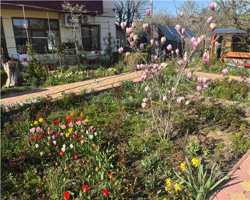 Afacere la cheie, Pensiune Tulcea 9 Mai cu deschidere la balta