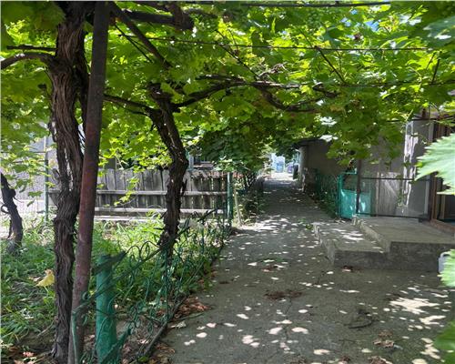 Casa si teren 5.000 mp, aproape de oras, 43.500 €