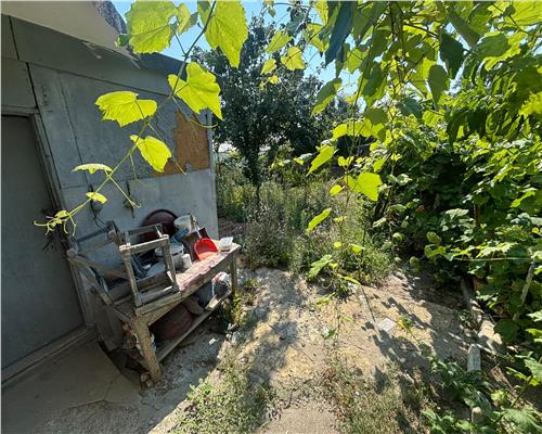 Casa batraneasca de vanzare cu teren si potential excelent in Tulcea