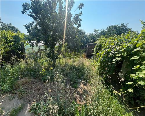 Casa batraneasca de vanzare cu teren si potential excelent in Tulcea