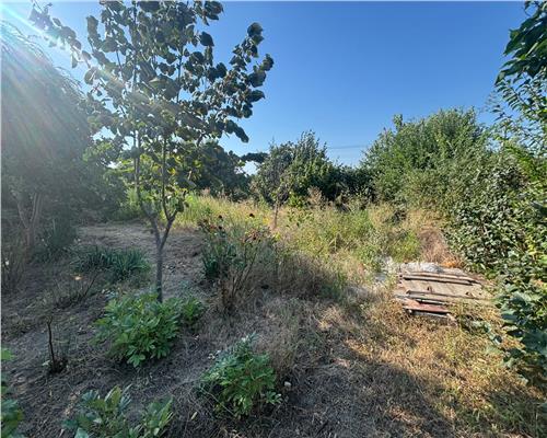 Casa batraneasca de vanzare in Iazurile, teren 1.257 mp