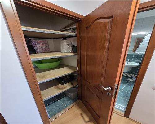 Apartament 2 camere de inchiriat, ultracentral, vedere Piata Civica