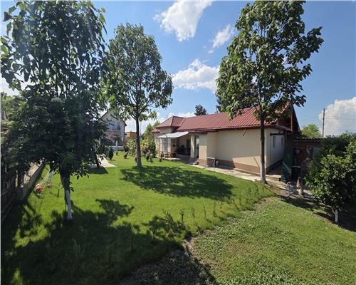 Casa renovata cu livada si 2.000 mp teren, Mihail Kogalniceanu